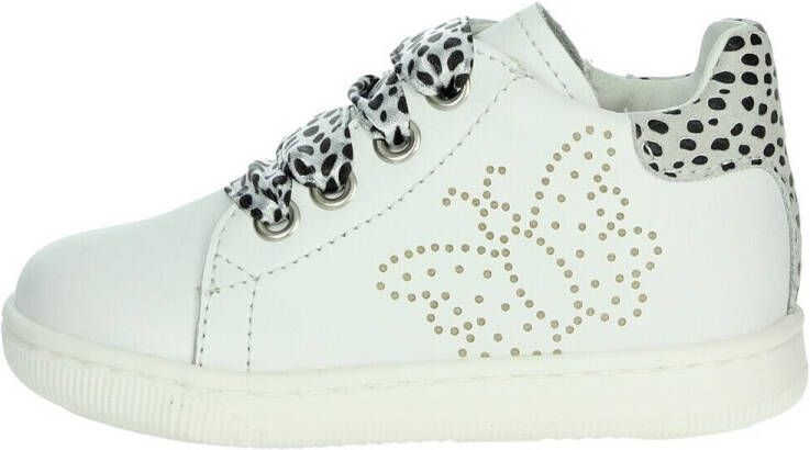Falcotto Lage Sneakers 0012018437.01.1N20