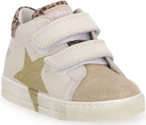 Falcotto Sneakers 2N13 SALAZAR VL
