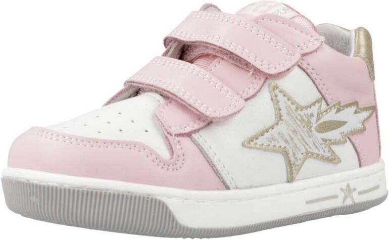 Falcotto Sneakers FRANKIE VL.