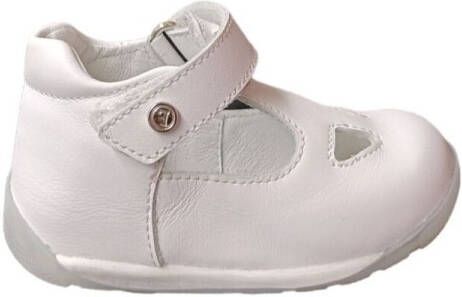 Falcotto Sneakers VENTULIS