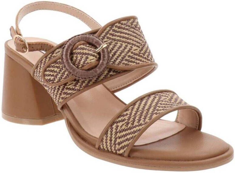 FERRE Pumps F222