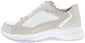 Finn Comfort Lage Sneakers Piccadilly