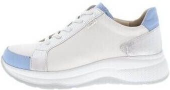 Finn Comfort Sneakers Lafayette