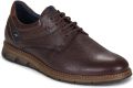 Fluchos Lage Sneakers KIRO - Bruin