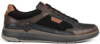Fluchos Sneakers f2279