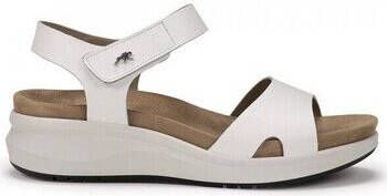 Fluchos Pumps Solly F0550 Colibri Blanco