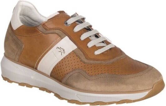 Fluchos Sneakers MANDEN F2083
