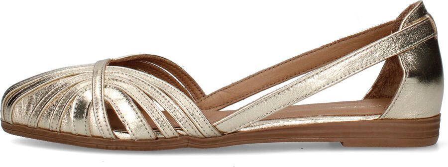 Frau Ballerina's 03V4