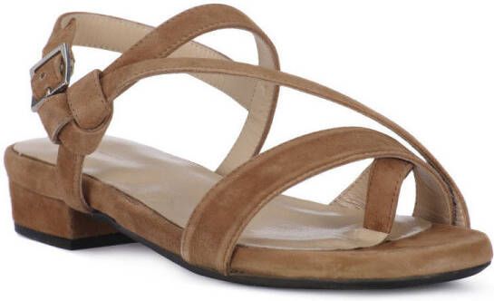 Frau Sandalen suede Brown Dames - Foto 2