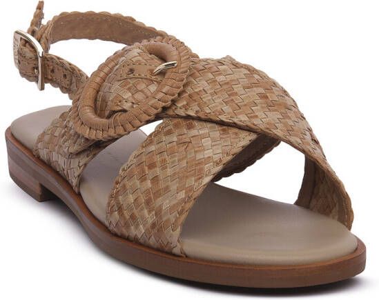 Frau Sandalen VENEZIA COOKIE