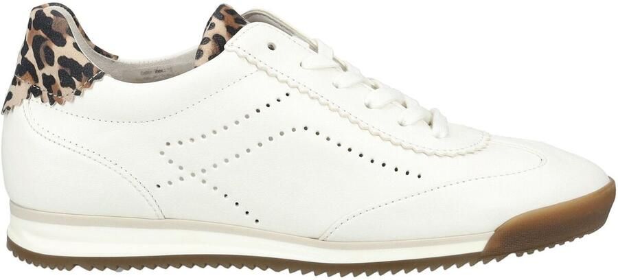 Gabor Dames Sneakers 83.432.20 Off White - Foto 3