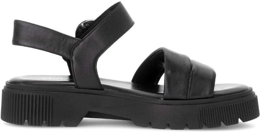 Gabor Zwarte damessandaal voor de zomer