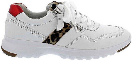 Gabor Sneakers 46.318.51