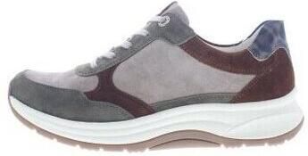 Ganter Sneakers High Flyer DA