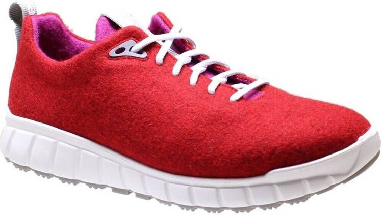 Ganter Lage Sneakers Evo Merinowolle