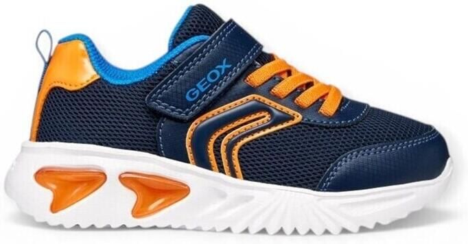 Geox Lage Sneakers Assister
