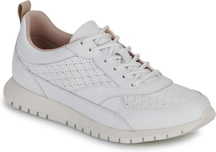 Geox Lage Sneakers D SUKIE 2.0