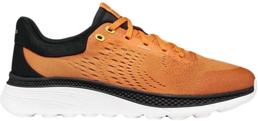 Geox Lage Sneakers