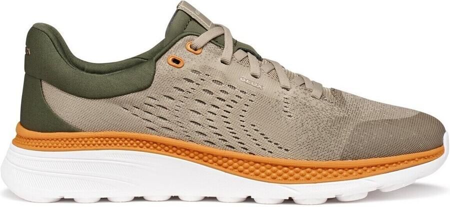 Geox Lage Sneakers