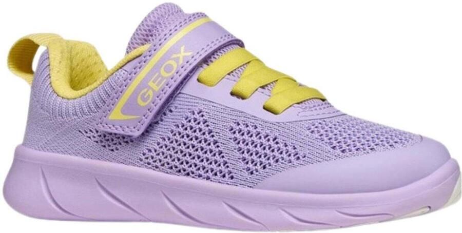 Geox Lage Sneakers
