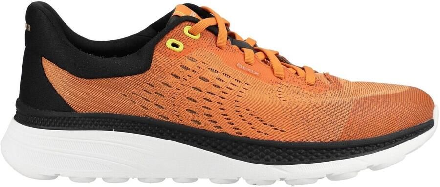 Geox Lage Sneakers Sneaker