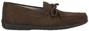 GEOX Ascanio A Loafers Bruin Man - Foto 2