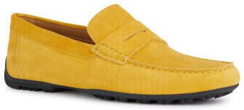 Geox Mocassins u35cfb