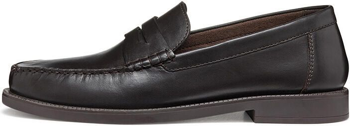 GEOX RECANATI HEREN Veterschoenen KOFFIEKLEUR - Foto 2