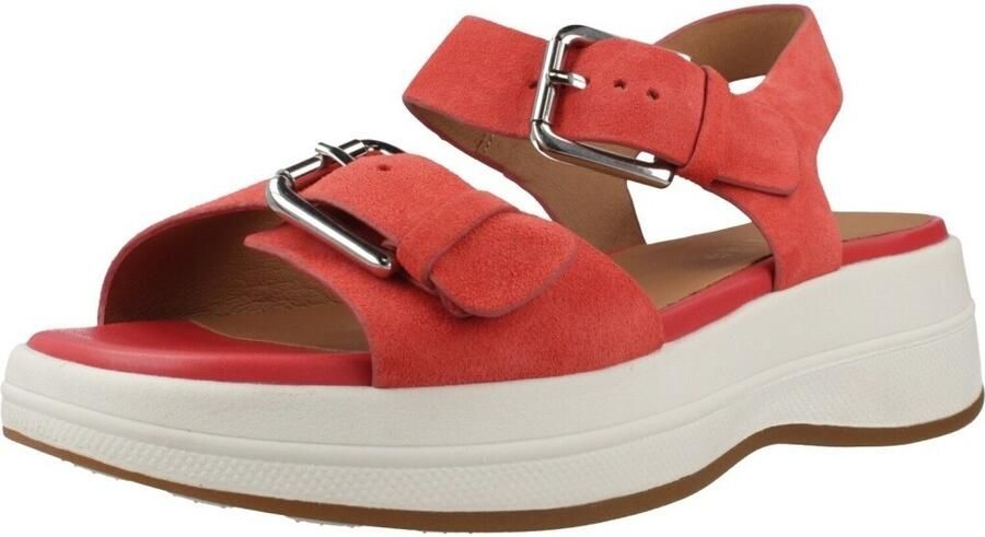 Geox Sandalen met sleehak D Spherica Ecub 3 S