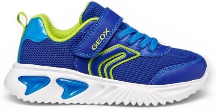 GEOX ASSISTER Sneakers KONINGSBLAUW LIMOEN - Foto 2