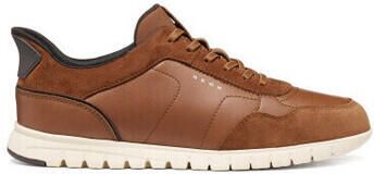 Geox Sneakers u flextridezero plus u66nea