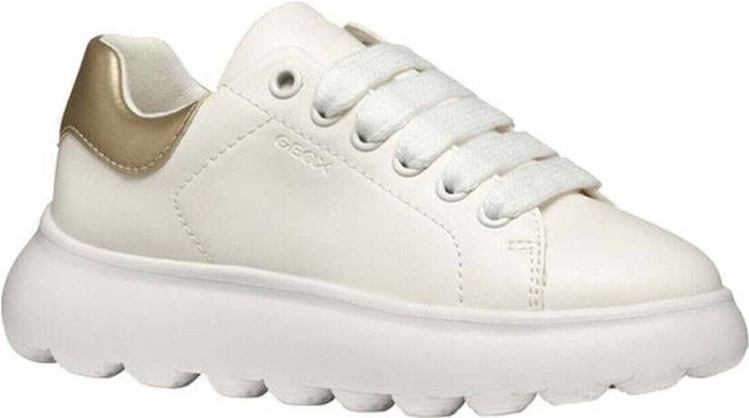 Geox Lage Sneakers