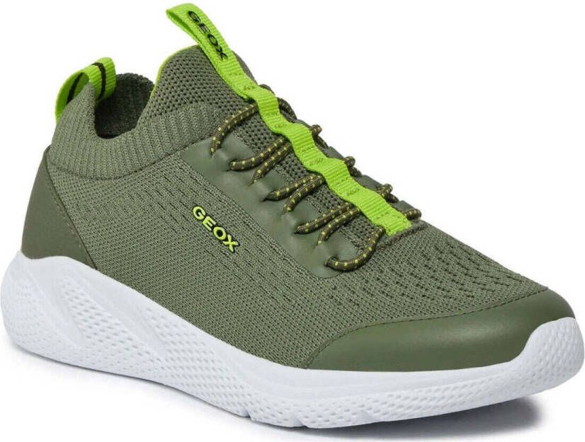 Geox Lage Sneakers