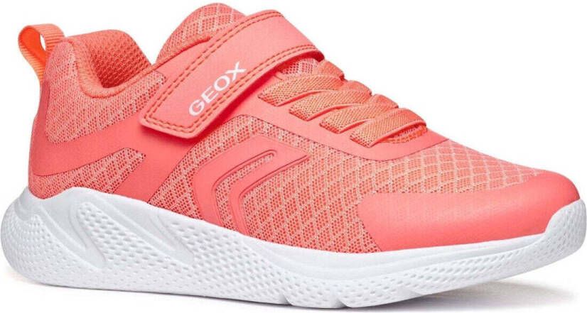 Geox Lage Sneakers