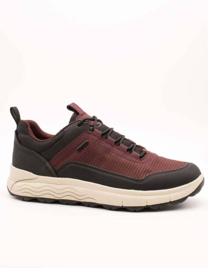 GEOX SPHERICA 4X4 ABX HEREN Sneakers BORDEAUX - Foto 2