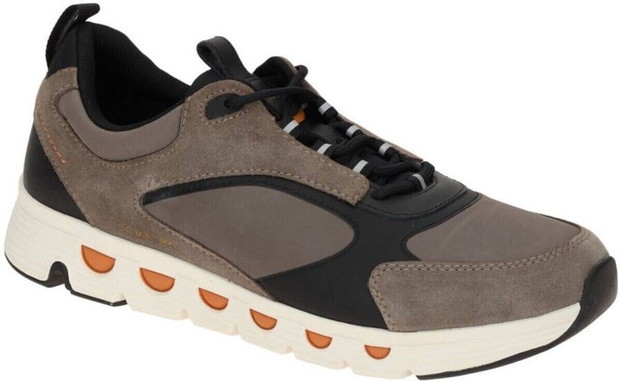 Geox Lage Sneakers