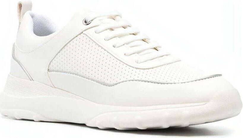 Geox Lage Sneakers