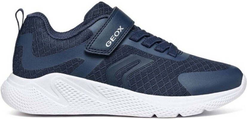 Geox Lage Sneakers