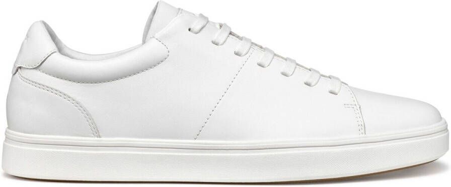 Geox Sneakers Baskets Baltmoore C