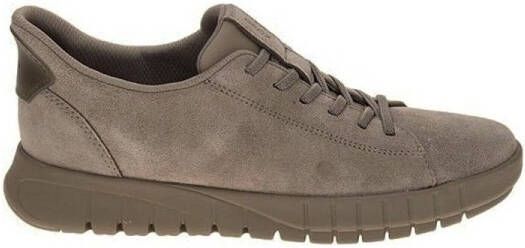 Geox Lage Sneakers FLEXTRIDE PLUS