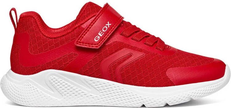 Geox Lage Sneakers SPRINTYE JUNIOR J45GBA SPORT