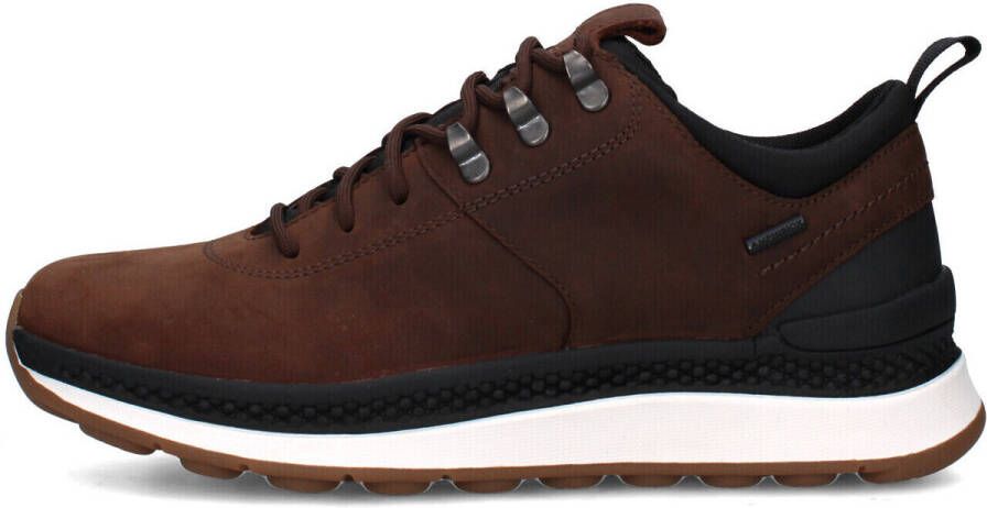 GEOX Spherica Actif X2 Schoenen Bruin Man - Foto 2