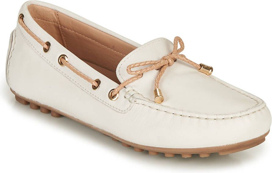 Geox Bootschoenen D LEELYAN C