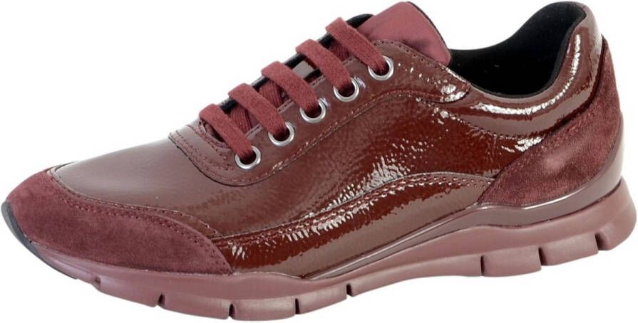 Geox Lage Sneakers 114639