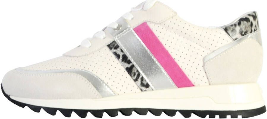 Geox Lage Sneakers 185009