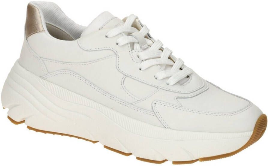 Geox Sneakers