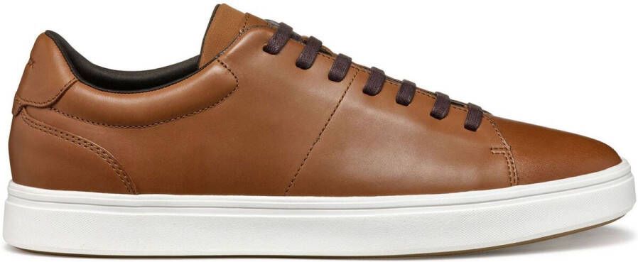 Geox Sneakers Baskets Baltmoore C