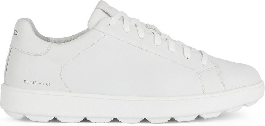 Geox Sneakers Baskets en cuir nappa Spherica ECUB-1