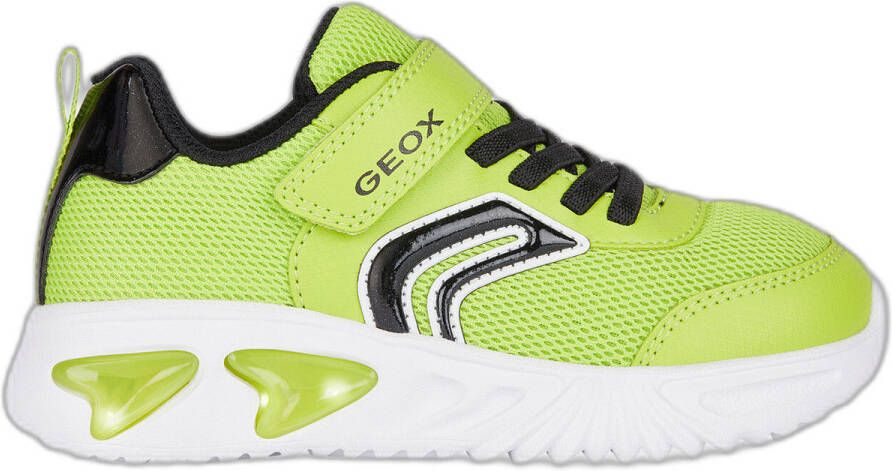 Geox Sneakers Baskets enfant Assister
