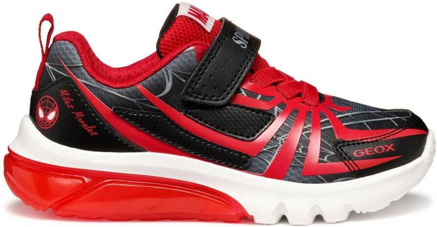 Geox Sneakers Baskets enfant Ciberdron